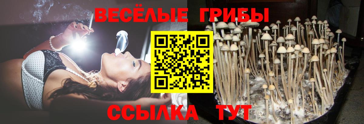 Карасук  Псилоцибиновые грибы мухоморы  Вход с VPN 